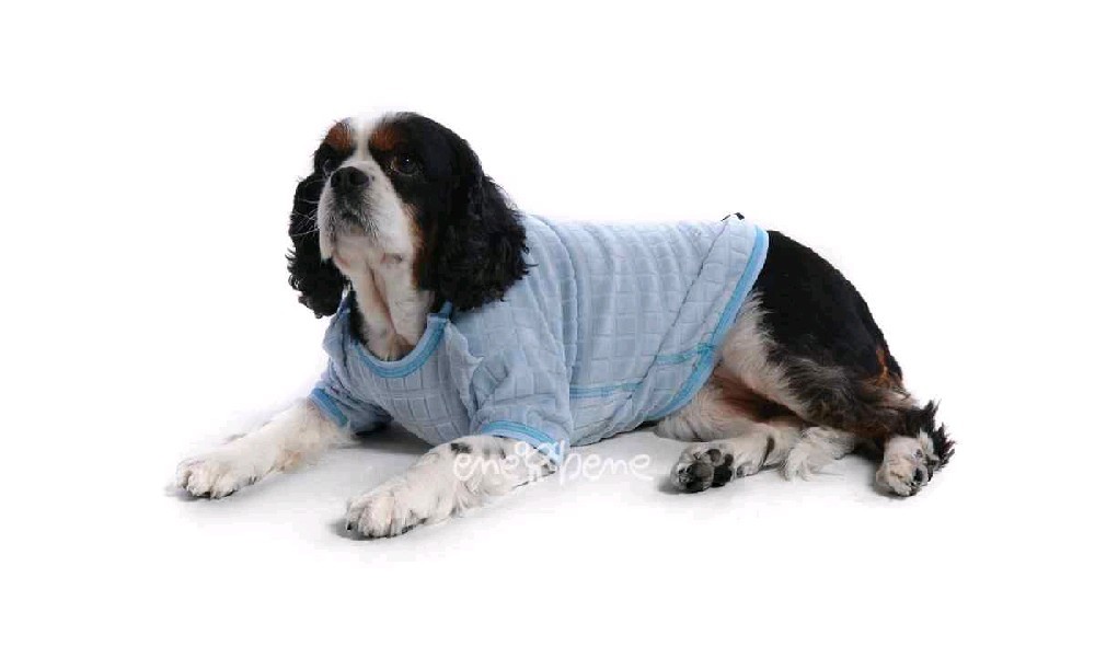 Ene Bene obleček - tričko pro psa světle modré XS